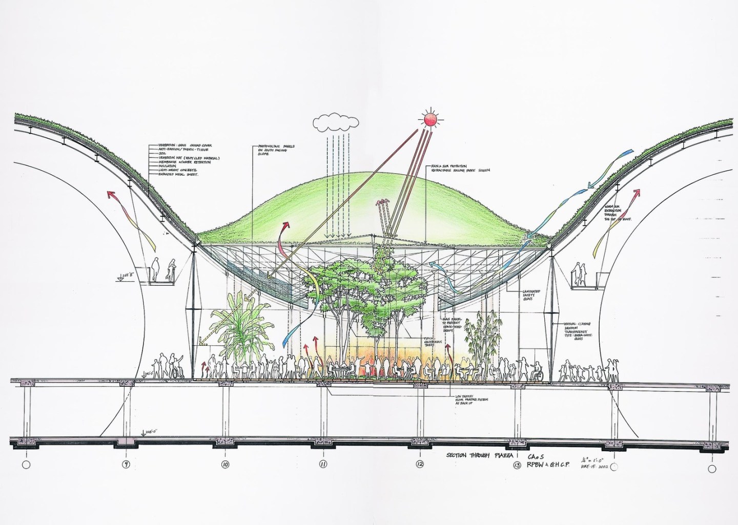 Virginia Duran- Biomorphic Architecture – California Academy of ...