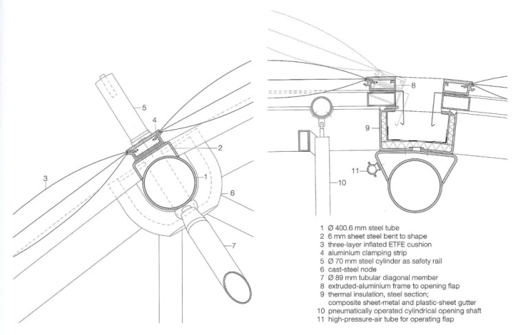 Biomorphic Architecture: 10 Stunning Examples | Virginia Duran