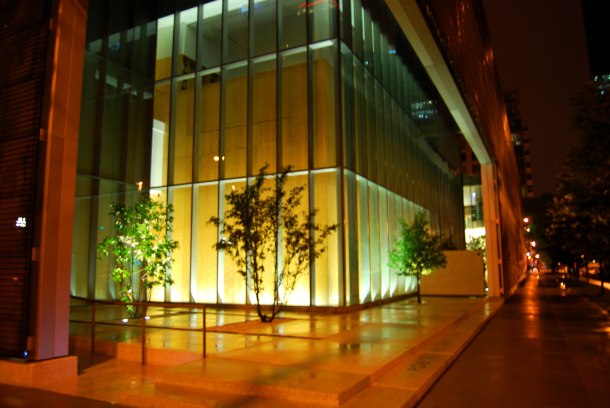 Virginia_Duran_Blog_Poetry_Foundation_Night_Protection