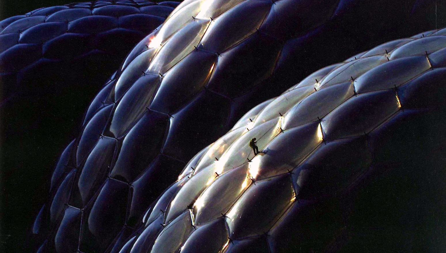Biomorphic Architecture | Virginia Duran