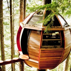 Back to the Roots, Tree&nbsp;Houses