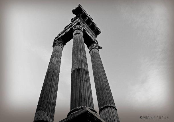 Virginia Duran Blog- Circo Marcelo Ruins