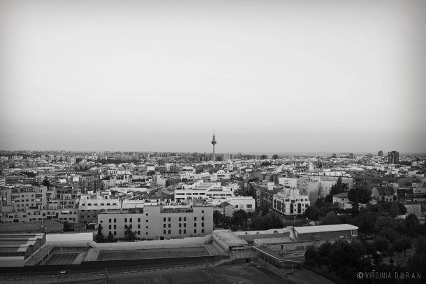Virginia Duran Blog- Skyline Views Madrid -Black and White -4