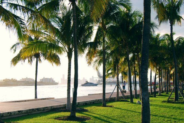 Virginia Duran Blog- Miami-Photography- views from South Pointe Park by Hargreaves Associates