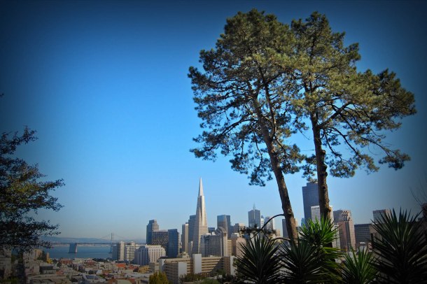 Virginia Duran Blog- 10 Sites To Take The Best Skyline Pictures in San Francisco- Ina Coolbrith Park
