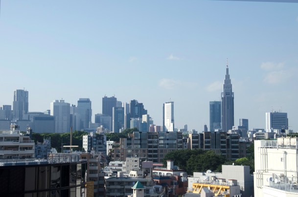 Virginia Duran Blog-Best sites to take Skyline Pictures in TOKYO-Tokyu Plaza Omotesando